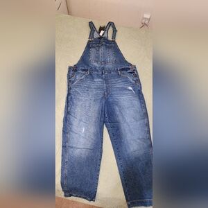 Jordache Overalls